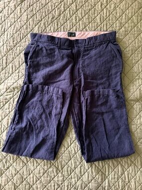 J. Crew Navy Blue Men's Chinos